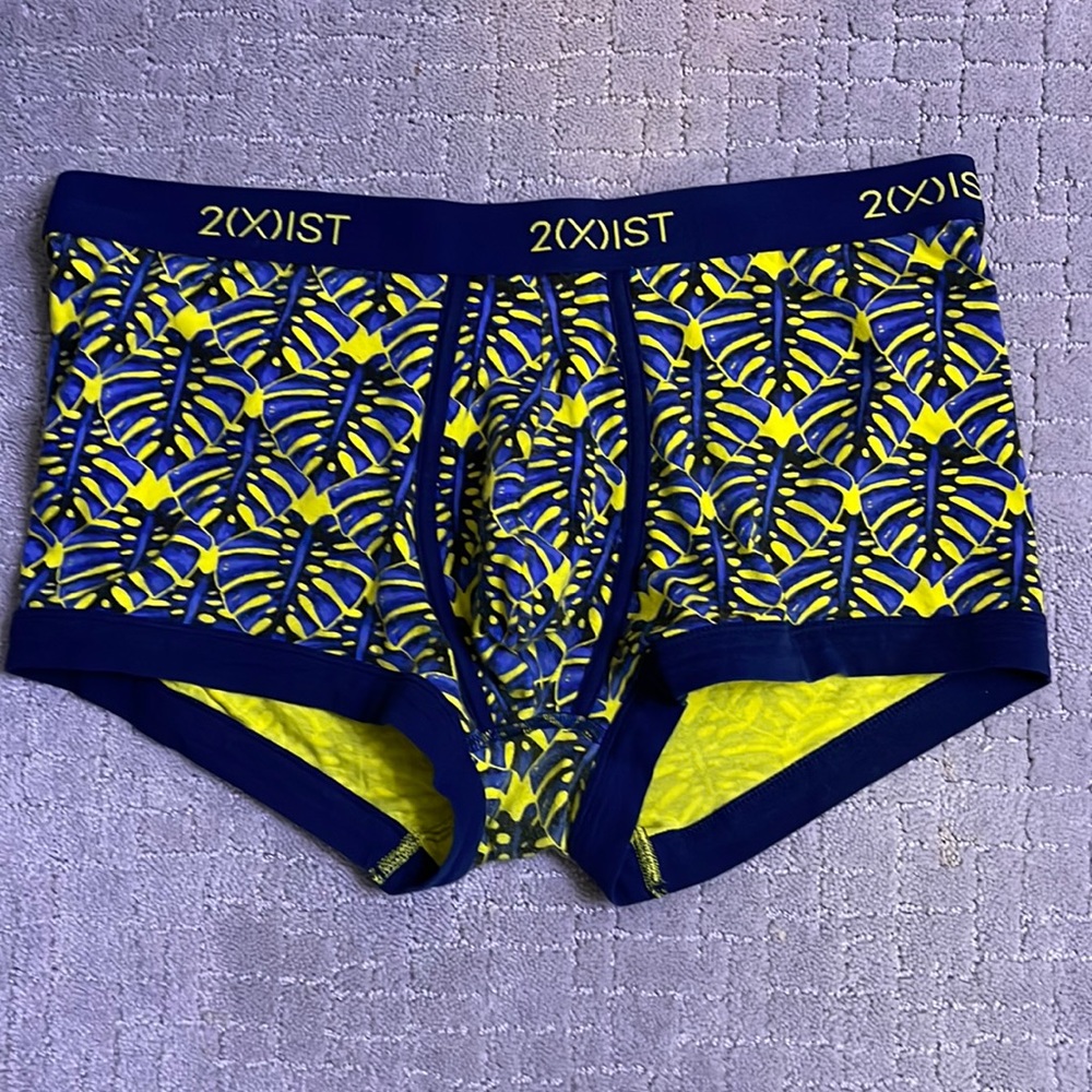 Mens 2xist trunks